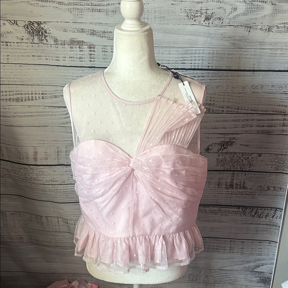 NWT Pink Sheer Ruffle Top from express size large